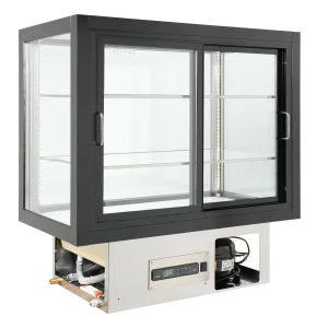 Tecfrigo SNOOPY 201 Q NE