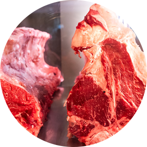 carne copia