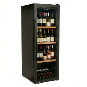Tecfrigo SOMMELIER 301 FG V