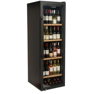 Tecfrigo SOMMELIER 481 FG V